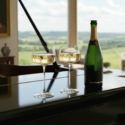 POWER-COPPA-CHAMPAGNE-CL-27-APAD